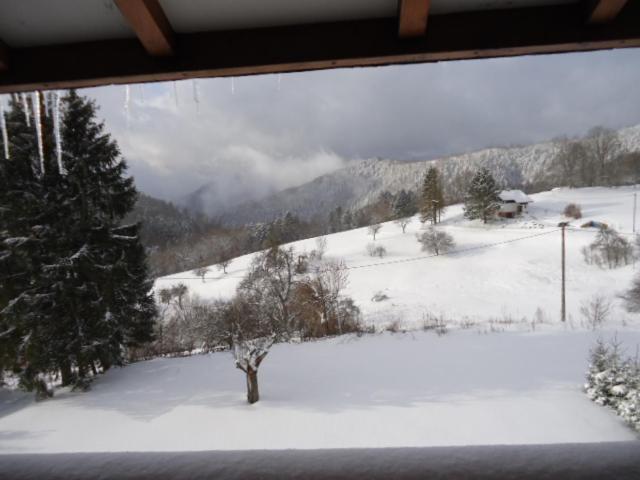 Chalet Contemporain Plein Nature Altenbach Exterior foto